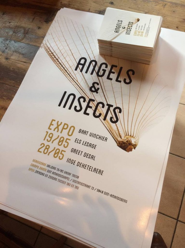 Angels and insects expo Campo Santo Gent
